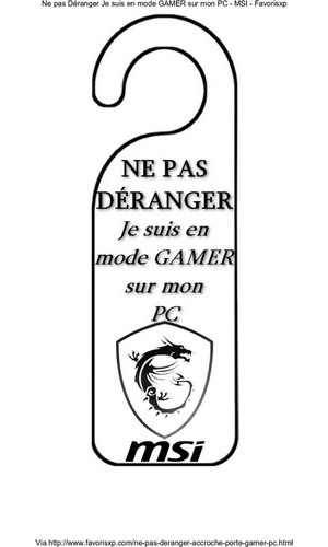 Autocollant Murale 'Gamer Zone - Ne Pas Déranger' - Sticker Porte Gamer Ado, Chambre
