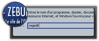 Logo et screenshot zebulon.fr