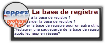 Logo et screenshot developpez.com