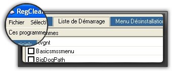 Screenshot interface RegCleaner pour le nettoyage du registre.