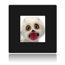 Clin d'oeil de chien avec les yeux grossissant � t�l�charger gratuitement