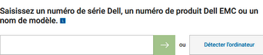 Choix produits pilotes Dell : préférez la détection automatique.