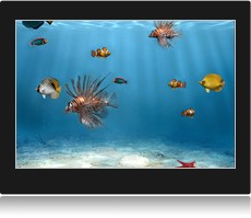 screenshot ecran de veille Sim Aquarium.
