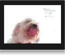 Ecran de veille chien l�che �cran.