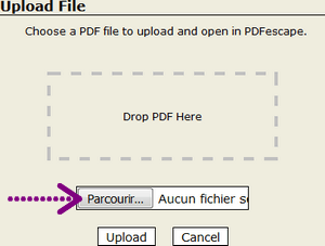Bouton pour choisir un fichier PDF sur votre ordinateur. 