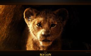 Le Roi Lion Fond d'écran Simba - Image arrière-plan - Wallpaper Favorisxp