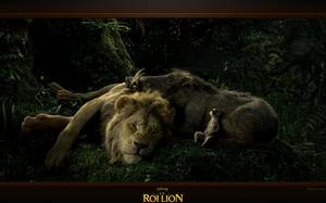 Le Roi lion : image de fond d'écran de Simba, Timon et Pumbaa endormis - Arrière-plan pour PC.