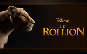 Le Roi lion : fond d'écran de Nala (adulte) - Arrière-plan pour PC.