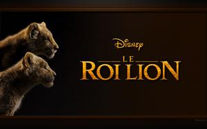 Le Roi lion : image de fond d'écran de Nala et de Simba - Arrière-plan pour PC.