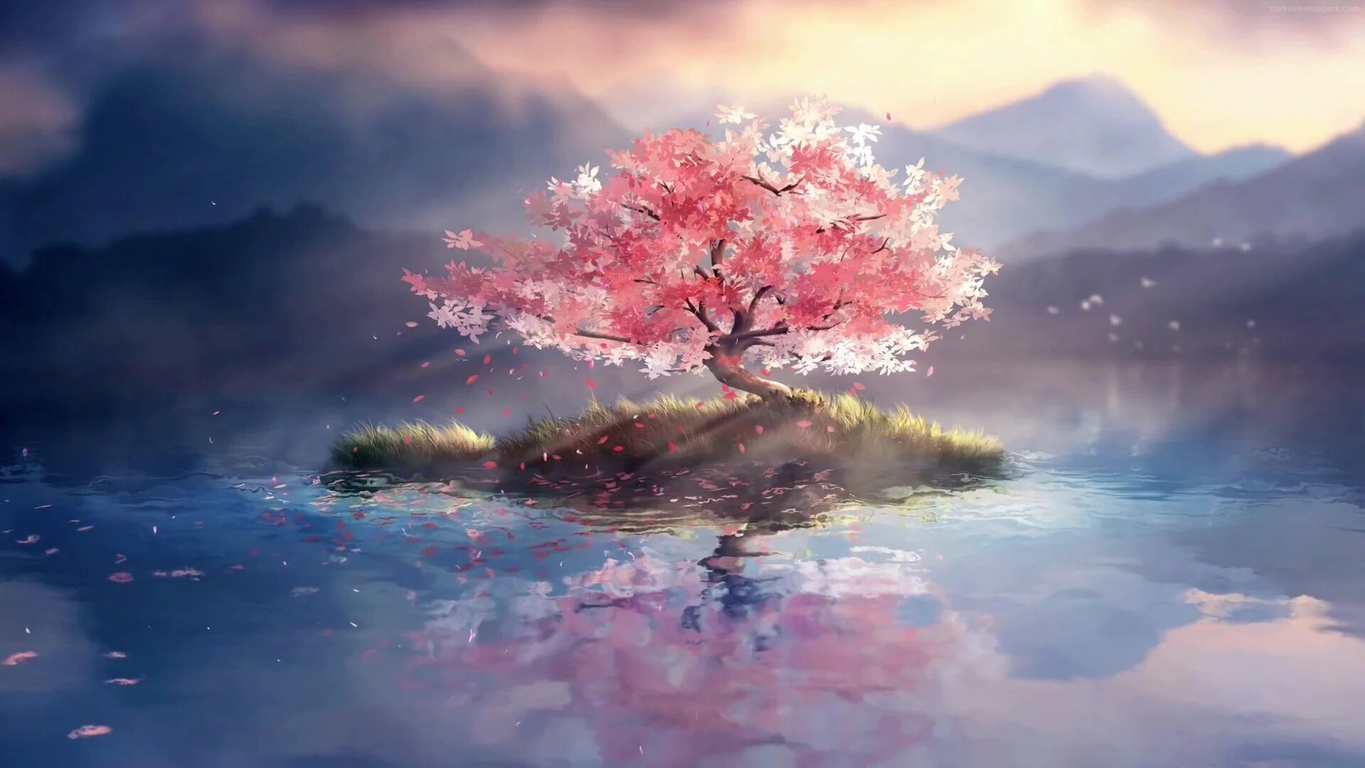 Fond D cran De Paysage D anime For t Fonds D cran Anim s Fond D cran De Paysage D anime For t Fonds D cran Anim s