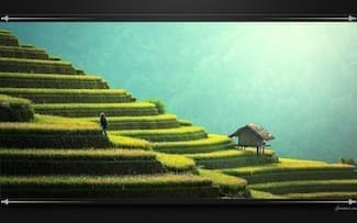 Terrasses asiatique paysage fond d'écran.