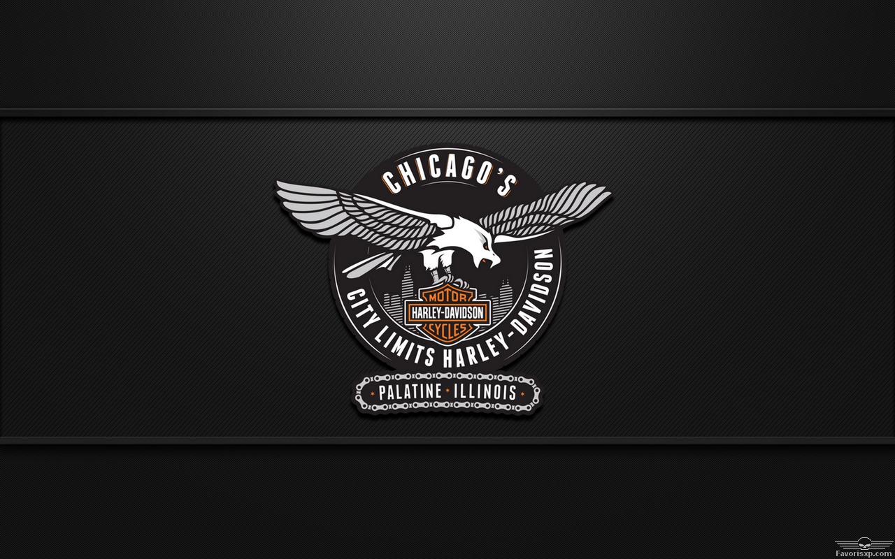 TOUR DE COU ALLONGE A GRAPHIQUE AIGLE HARLEY DAVIDSON