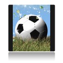 ballon de foot sur herbe verte.