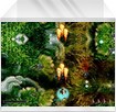 Jeu complet et gratuit Lost Ship.