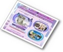 Jeux d'animaux virtuel shinycatz.fr �levage de chats vituels.