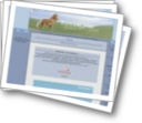 Screenshot kazakorse.com. Jeu virtuel: Elevage de chevaux.
