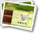 Screenshot monchval.com. Elever un cheval virtuel.