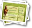 screenshot equideow.com