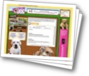 sreenshot ptitdog.com
