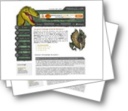 screenshot dinogaia.com