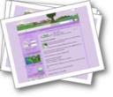 Screenshot moutonking.com. Moutons virtuels.