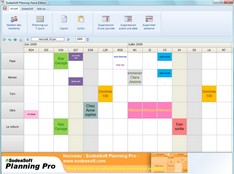 Screenshot de l'agenda SodeaSoft Planning Familial.
