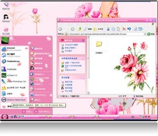 Theme Xp pink carnation.