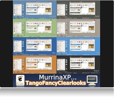 Sreenshot Theme XP MurrinaXP.